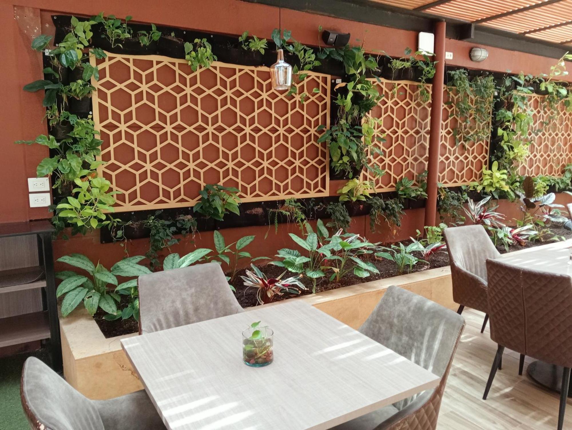 Hotel Lomas 10 Medellin By Dico Exterior photo